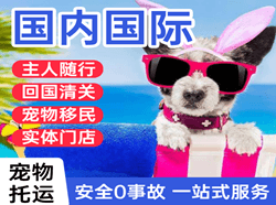 九江庐山空运公司国际宠物托运 【国